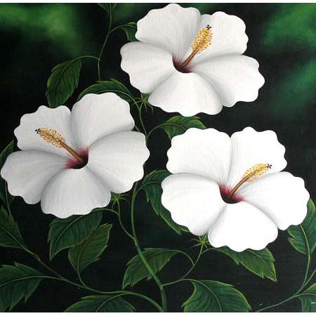kembang white flower