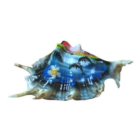 Sea Shell 04