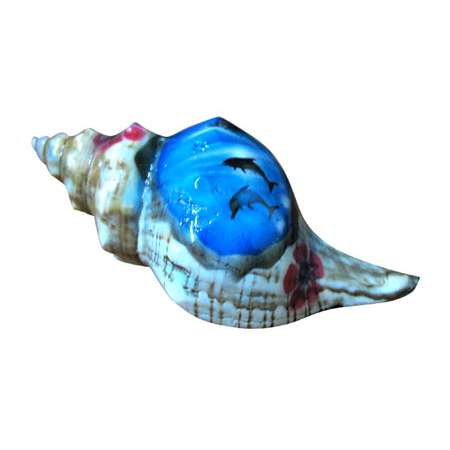 Sea Shell 03