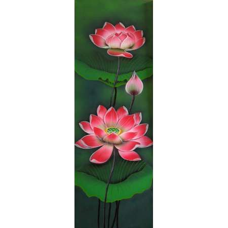 Lotus red flowers