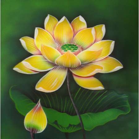 Lotus yellow flower