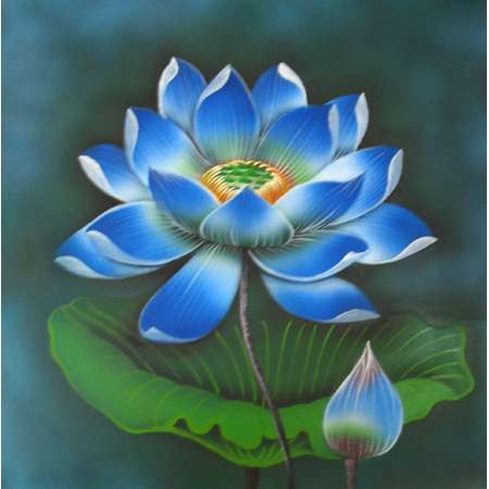 Lotus blue flower