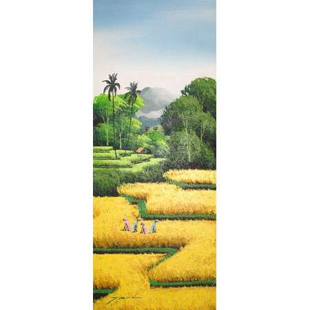 Rice field yellow