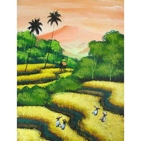 Rice field yellow