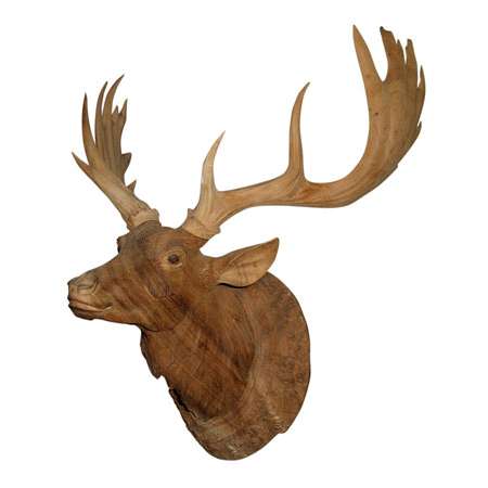 Deer Head